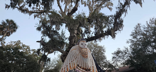 Beanstalk Moments That Seed Numinous Life Experiences