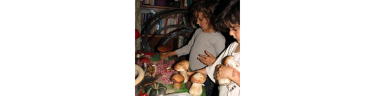 🍄 For the Littles — Children of the Forest Part II