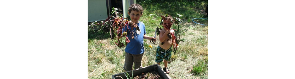 🌱 For the Littles — Part I of 4, a Seasonal Garden Series