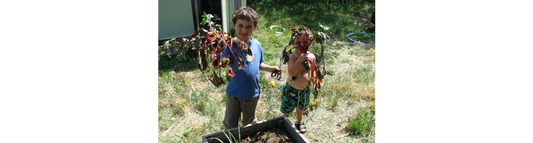 🌱 For the Littles — Part I of 4, a Seasonal Garden Series