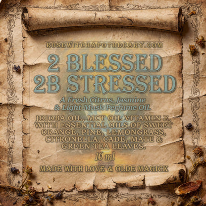 2 Blessed 2B Stressed